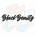 Black Beauty - Dekal