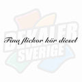 Fina flickor kör diesel - Dekal