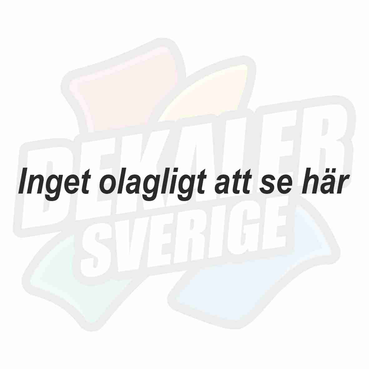 Inget olagligt att se här - Dekal
