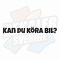 Kan du köra bil? - Dekal