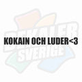 Kokain och luder<3 - Dekal