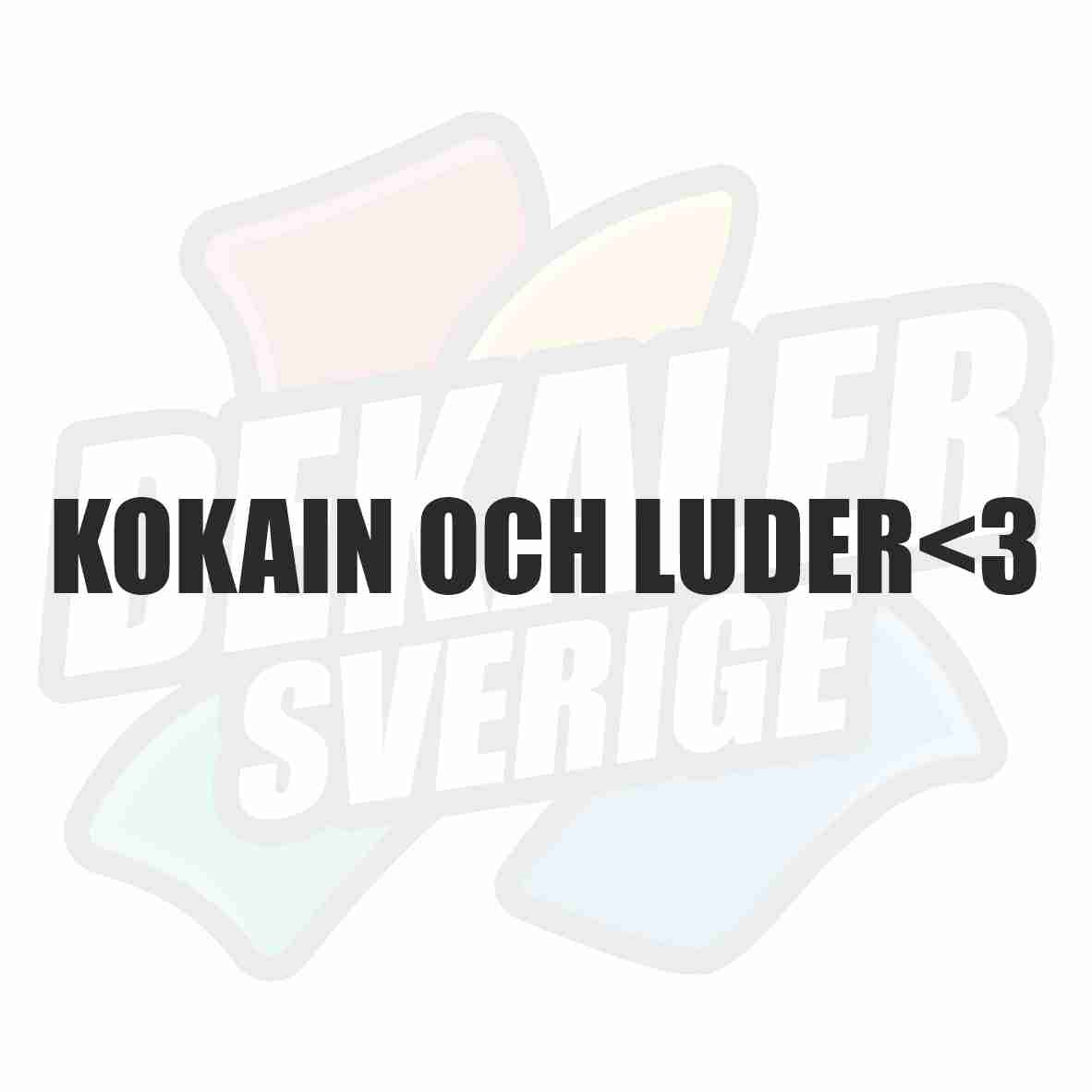 Kokain och luder<3 - Dekal