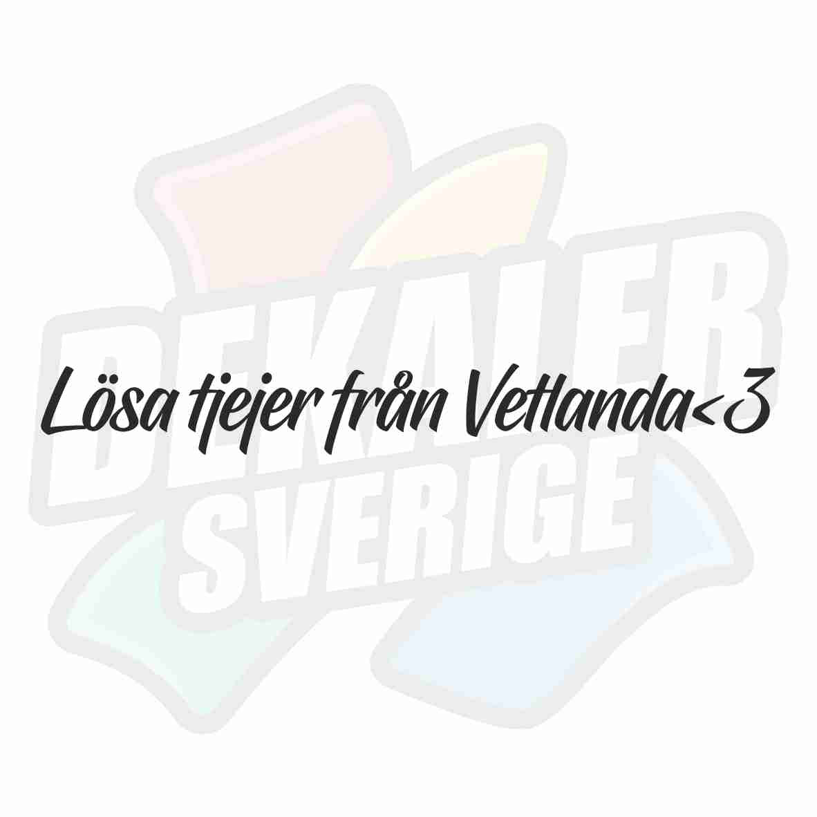 Lösa tjejer från Vetlanda<3 - Dekal
