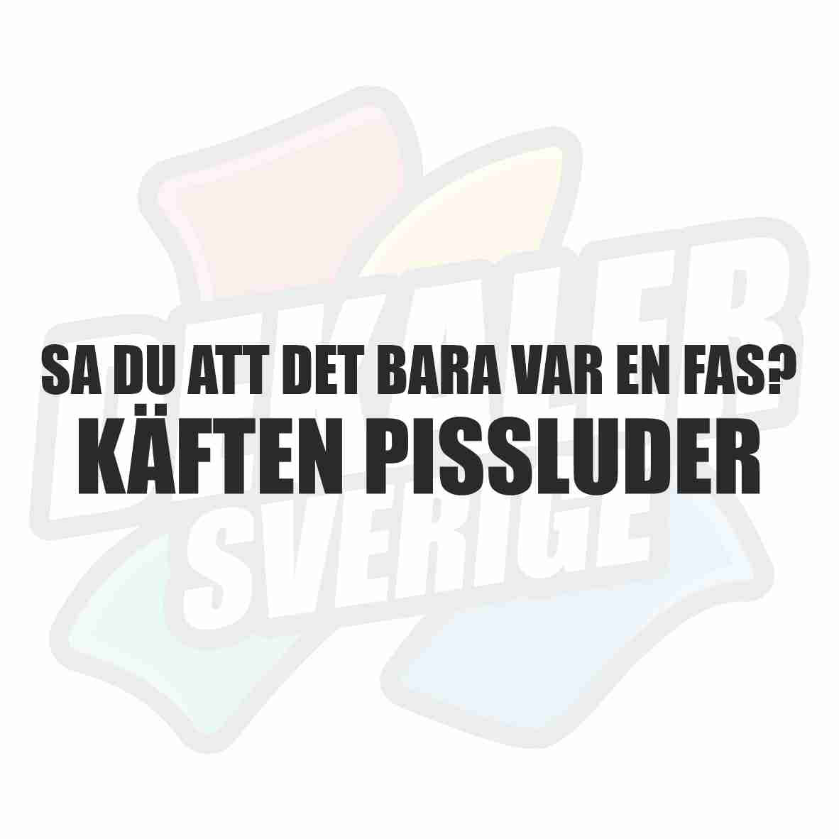 Sa du att det bara var en fas? - Dekal