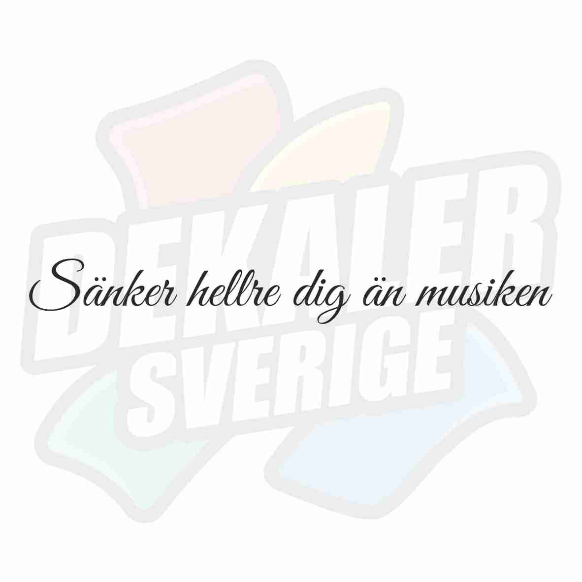 Sänker hellre dig än musiken 2 - Dekal