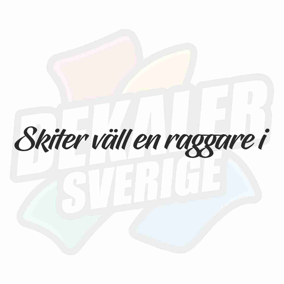Skiter väll en raggare i 1 - Dekal