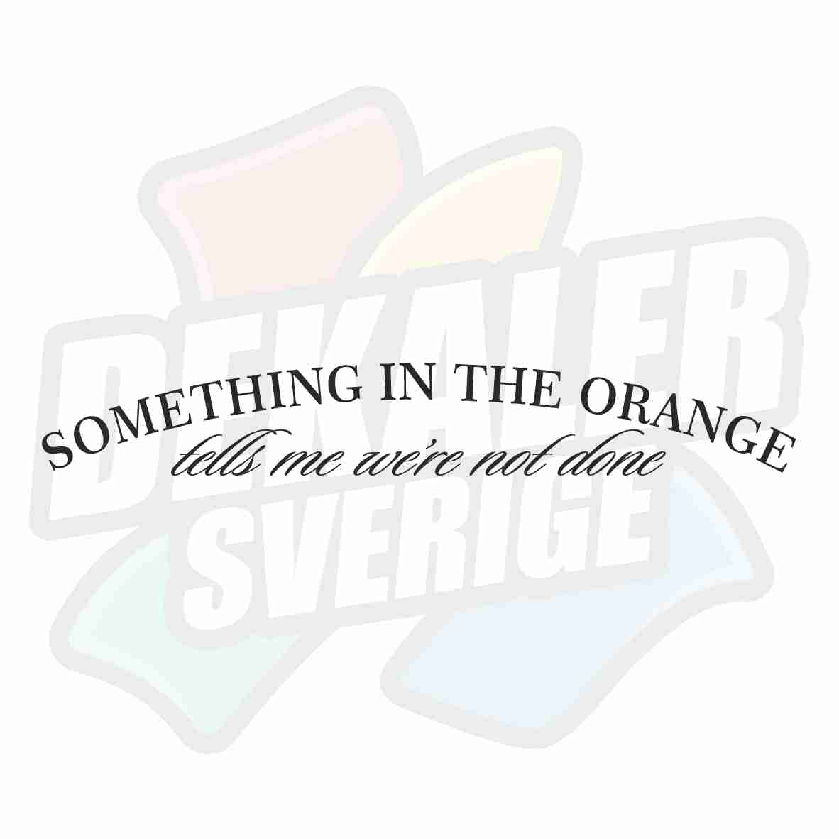 Something in the orange - Dekal