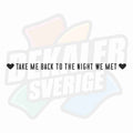 Take me back to the night we met - Dekal
