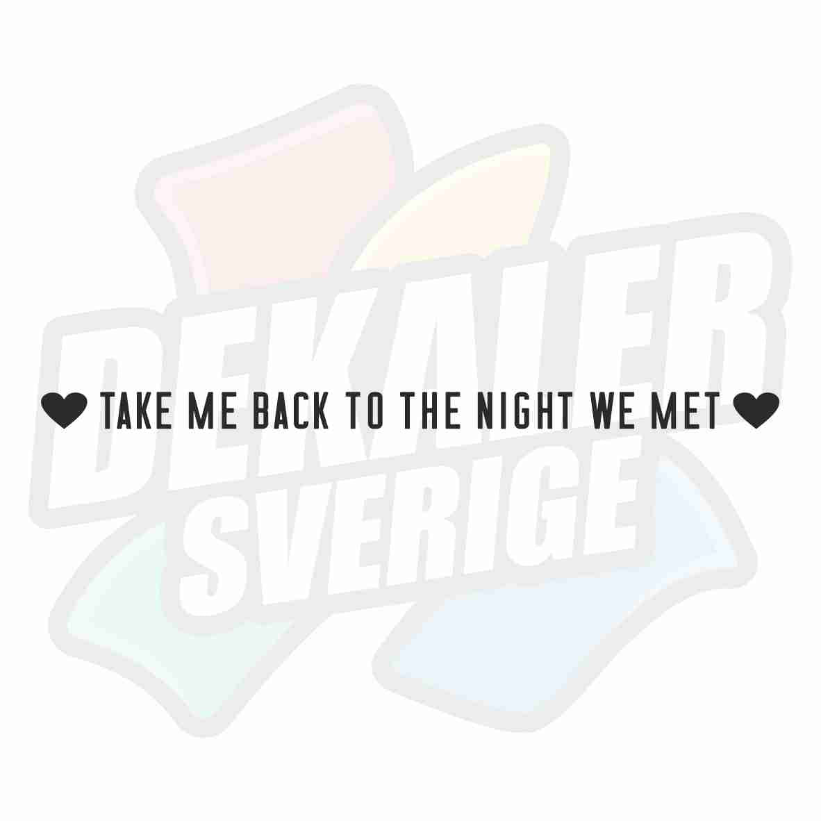 Take me back to the night we met - Dekal